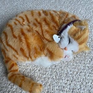 Perfect Petzzz Cat Perfect Petzzz Orange Tabby Poshmark